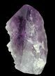 Amethyst Crystal Point - Madagascar #64755-1